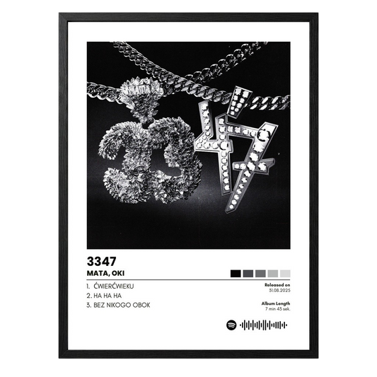 Plakat 3347